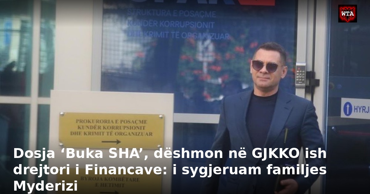 Dosja ‘Buka SHA’, dëshmon në GJKKO ish drejtori i Financave: i sygjeruam familjes Myderizi