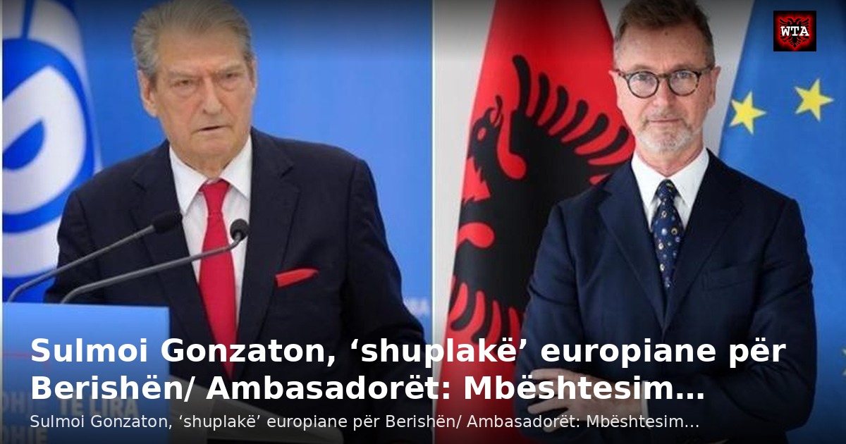 Sulmoi Gonzaton, ‘shuplakë’ europiane për Berishën/ Ambasadorët: Mbështesim…