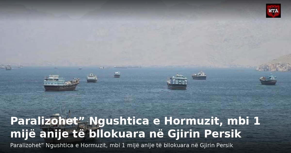 Paralizohet” Ngushtica e Hormuzit, mbi 1 mijë anije të bllokuara në Gjirin Persik