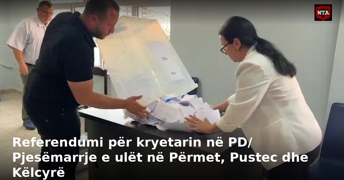 Referendumi për kryetarin në PD/ Pjesëmarrje e ulët në Përmet, Pustec dhe Këlcyrë