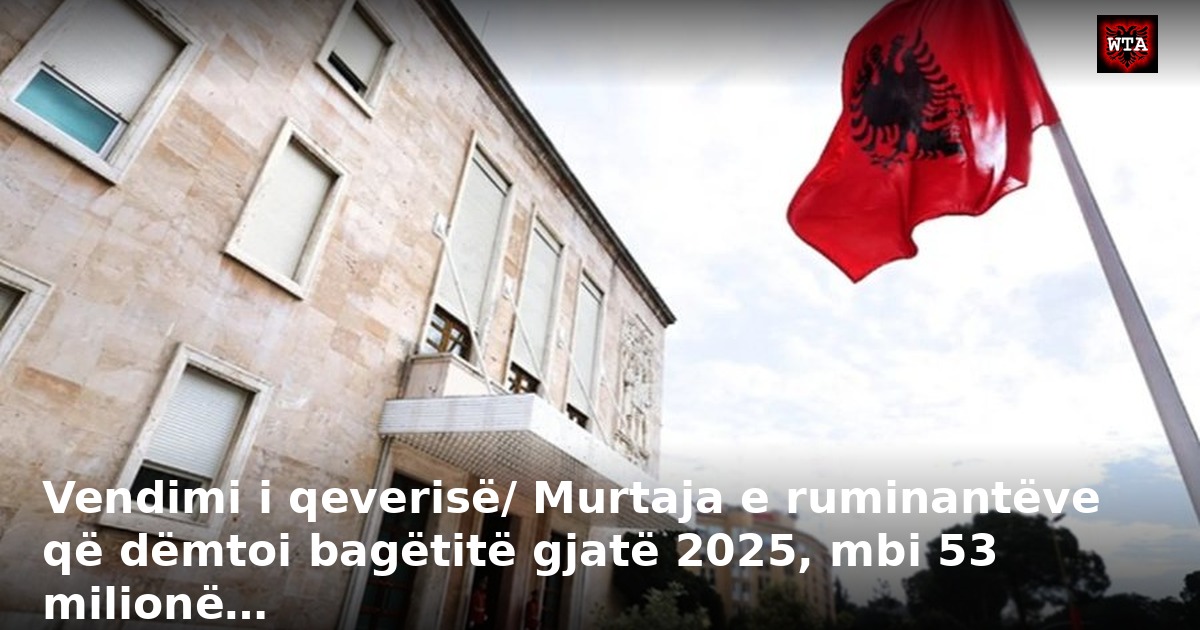 Vendimi i qeverisë/ Murtaja e ruminantëve që dëmtoi bagëtitë gjatë 2025, mbi 53 milionë…