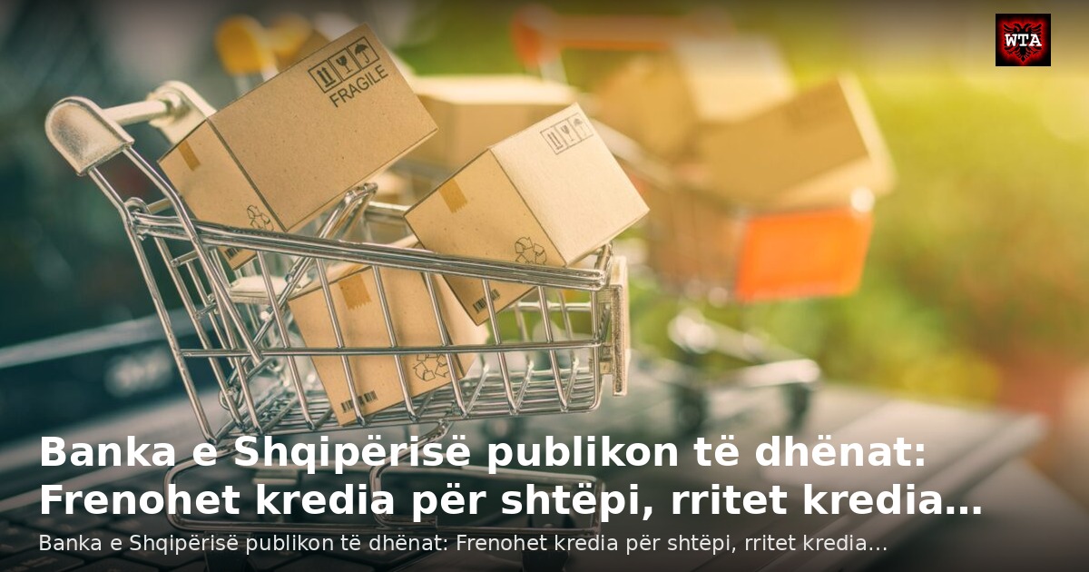 Banka e Shqipërisë publikon të dhënat: Frenohet kredia për shtëpi, rritet kredia…
