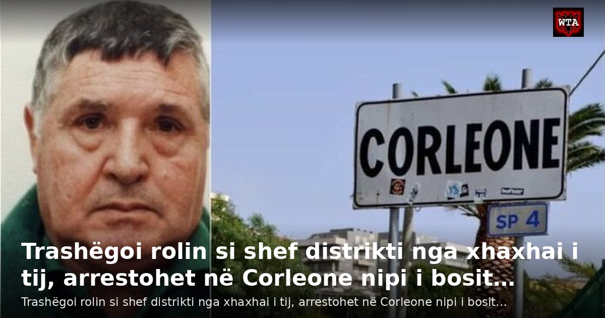 Trashëgoi rolin si shef distrikti nga xhaxhai i tij, arrestohet në Corleone nipi i bosit…