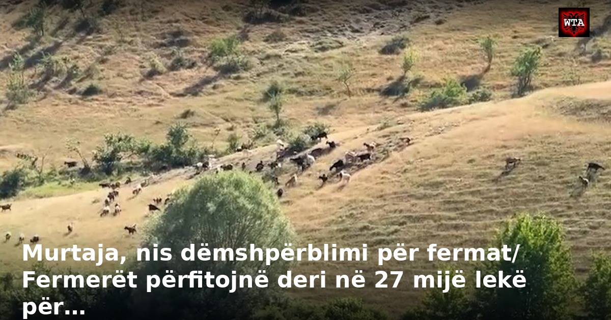 Murtaja, nis dëmshpërblimi për fermat/ Fermerët përfitojnë deri në 27 mijë lekë për…