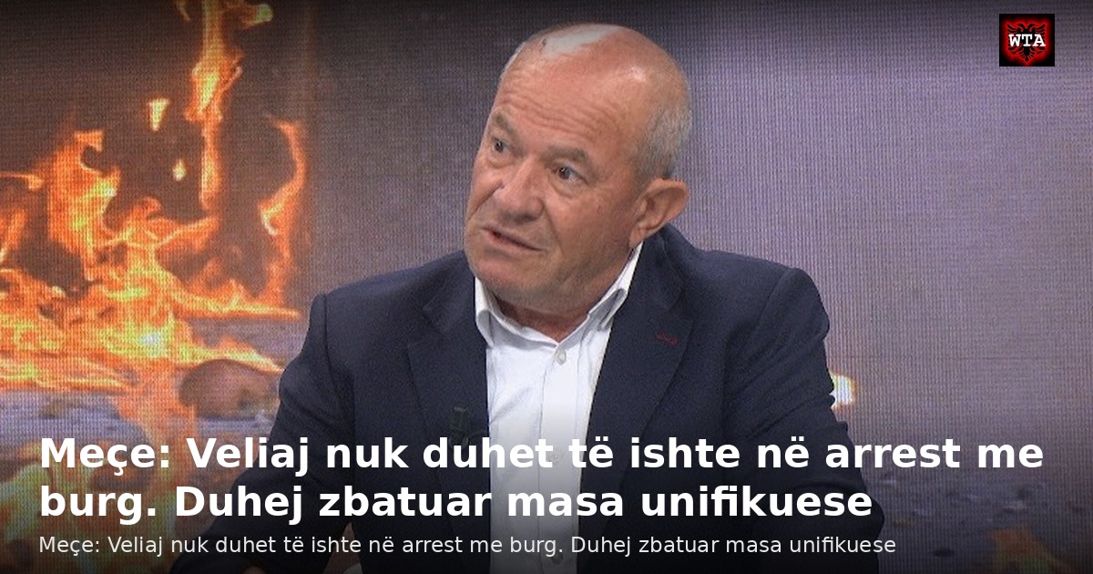 Meçe: Veliaj nuk duhet të ishte në arrest me burg. Duhej zbatuar masa unifikuese