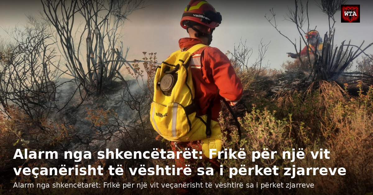 Alarm nga shkencëtarët: Frikë për një vit veçanërisht të vështirë sa i përket zjarreve