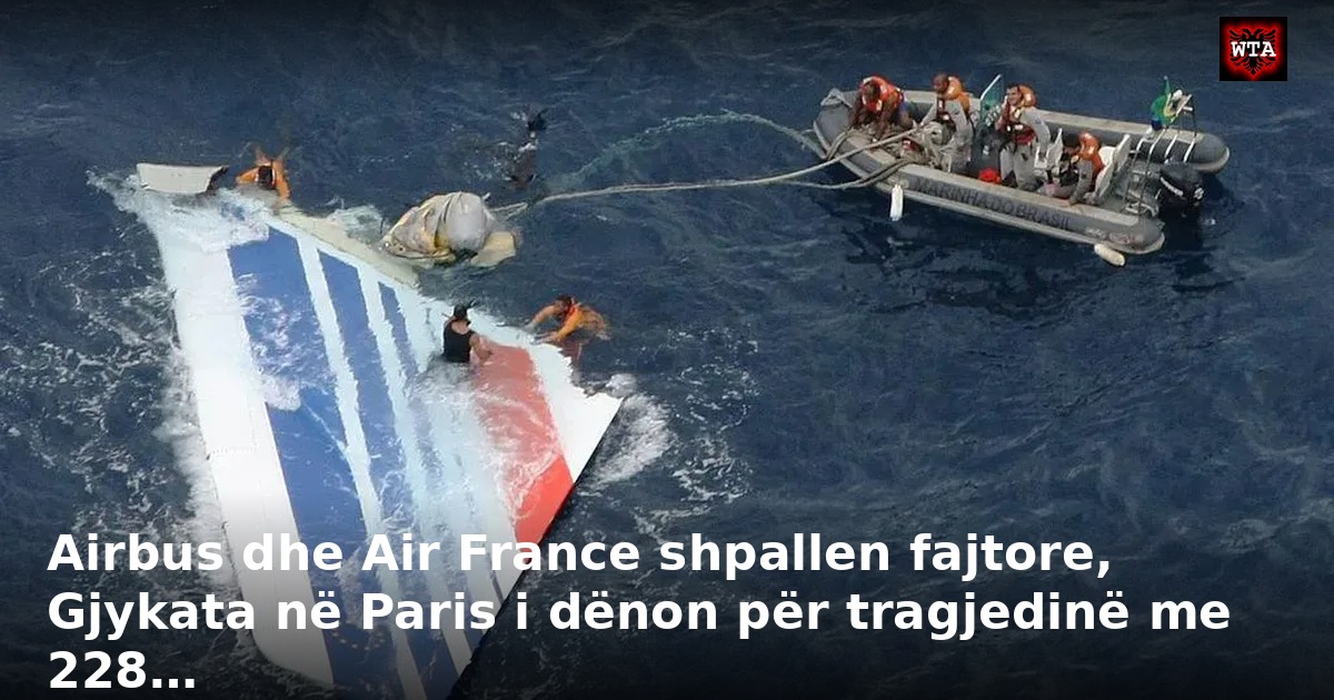 Airbus dhe Air France shpallen fajtore, Gjykata në Paris i dënon për tragjedinë me 228…