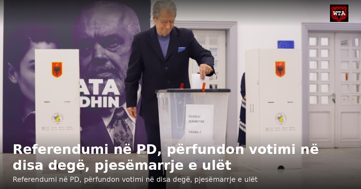 Referendumi në PD, përfundon votimi në disa degë, pjesëmarrje e ulët