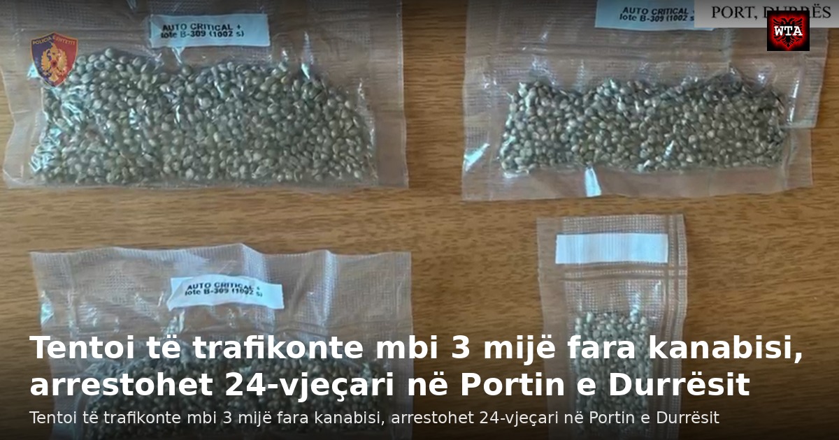 Tentoi të trafikonte mbi 3 mijë fara kanabisi, arrestohet 24-vjeçari në Portin e Durrësit