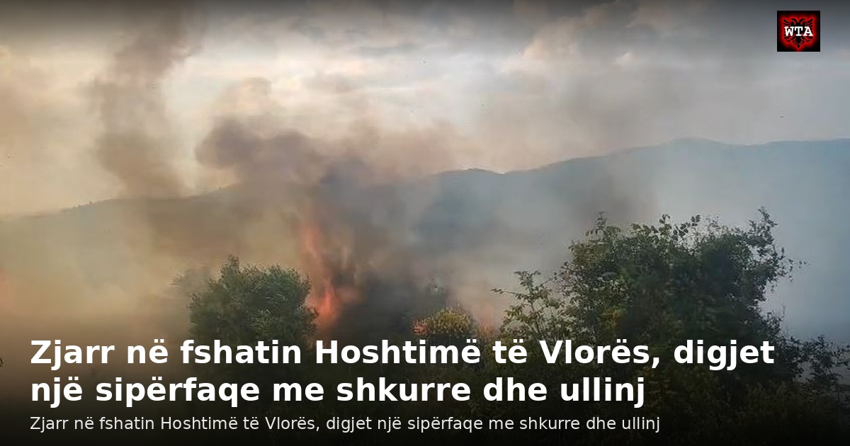 Zjarr në fshatin Hoshtimë të Vlorës, digjet një sipërfaqe me shkurre dhe ullinj