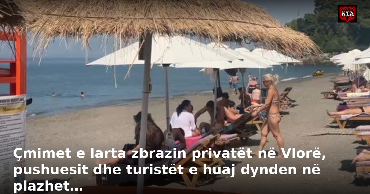 Çmimet e larta zbrazin privatët në Vlorë, pushuesit dhe turistët e huaj dynden në plazhet…