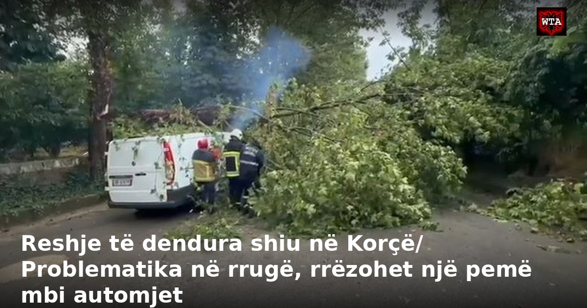 Reshje të dendura shiu në Korçë/ Problematika në rrugë, rrëzohet një pemë mbi automjet