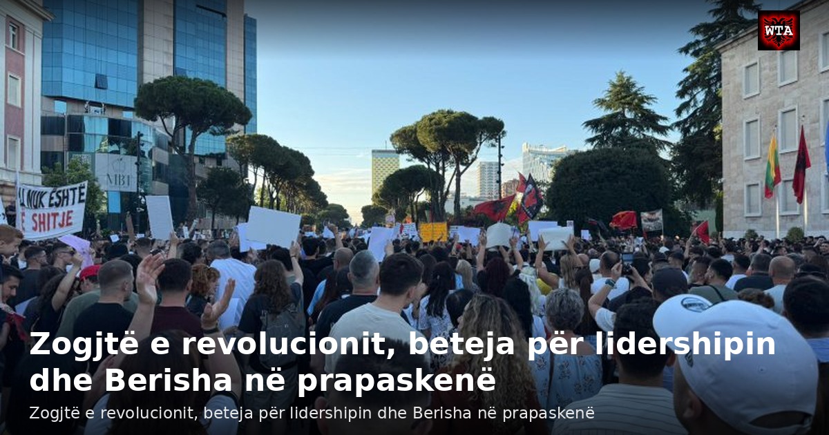 Zogjtë e revolucionit, beteja për lidershipin dhe Berisha në prapaskenë