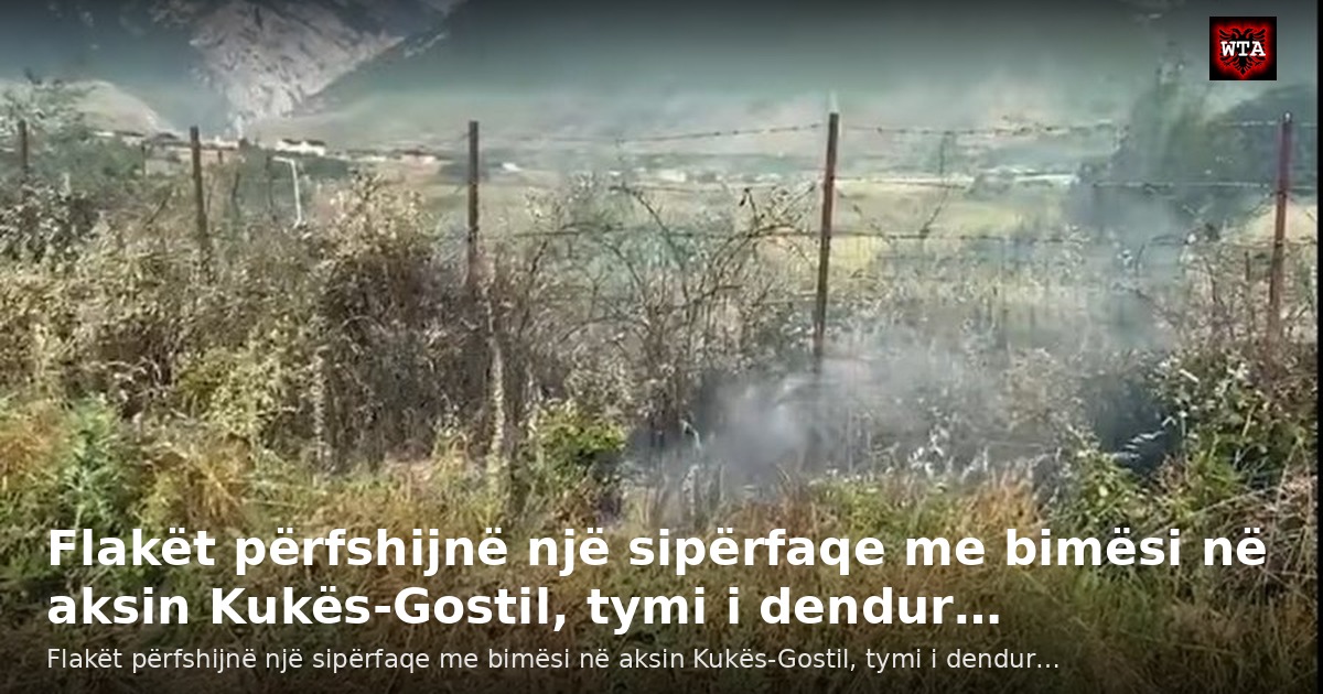 Flakët përfshijnë një sipërfaqe me bimësi në aksin Kukës-Gostil, tymi i dendur…