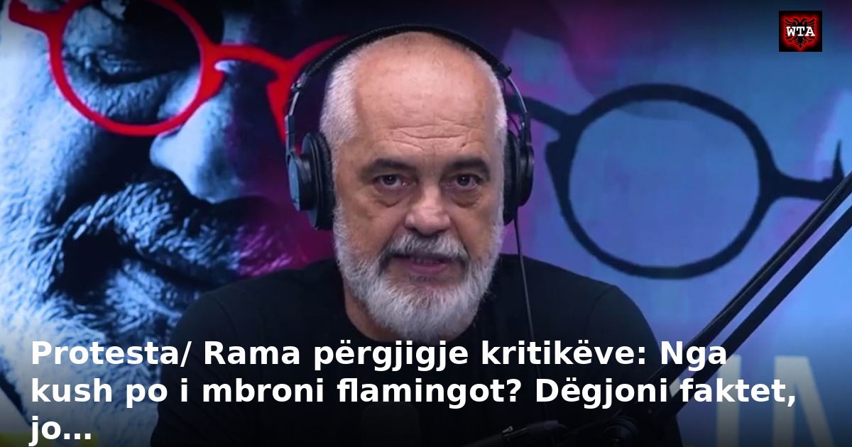 Protesta/ Rama përgjigje kritikëve: Nga kush po i mbroni flamingot? Dëgjoni faktet, jo…