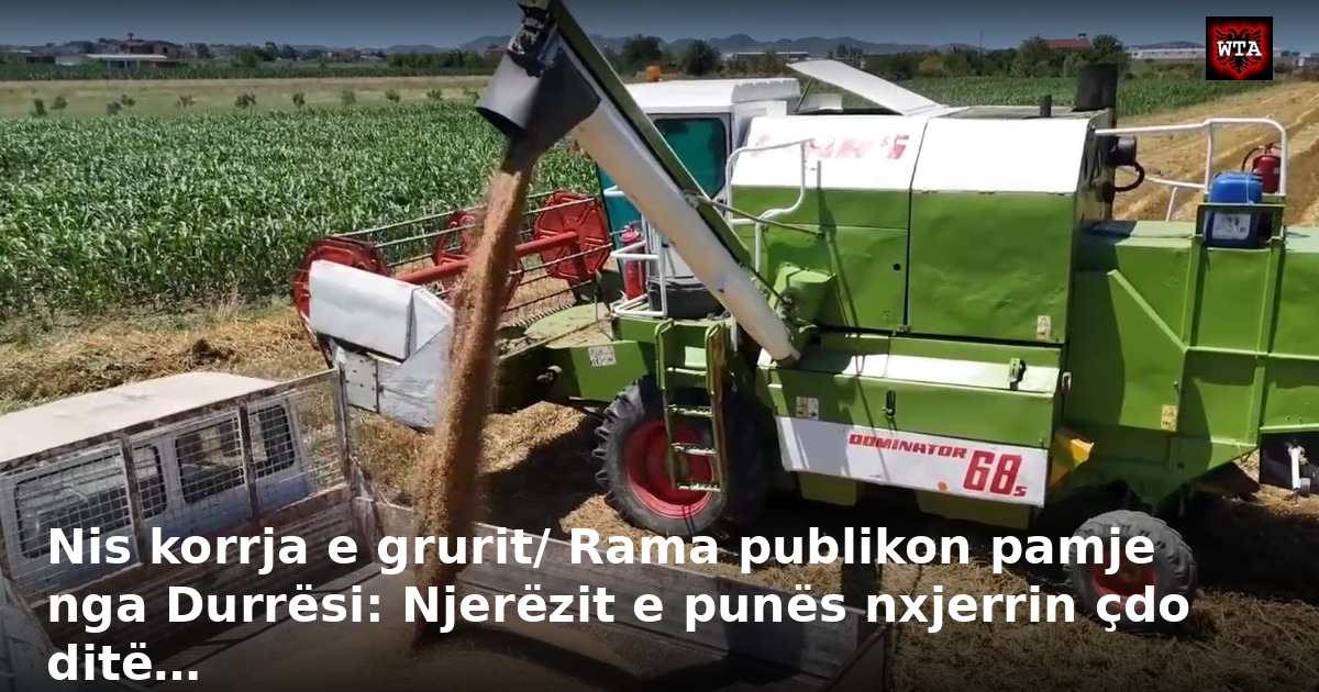 Nis korrja e grurit/ Rama publikon pamje nga Durrësi: Njerëzit e punës nxjerrin çdo ditë…