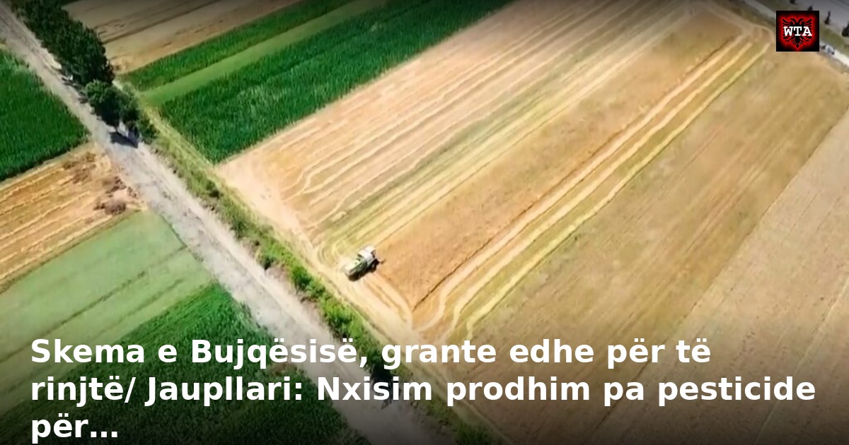 Skema e Bujqësisë, grante edhe për të rinjtë/ Jaupllari: Nxisim prodhim pa pesticide për…