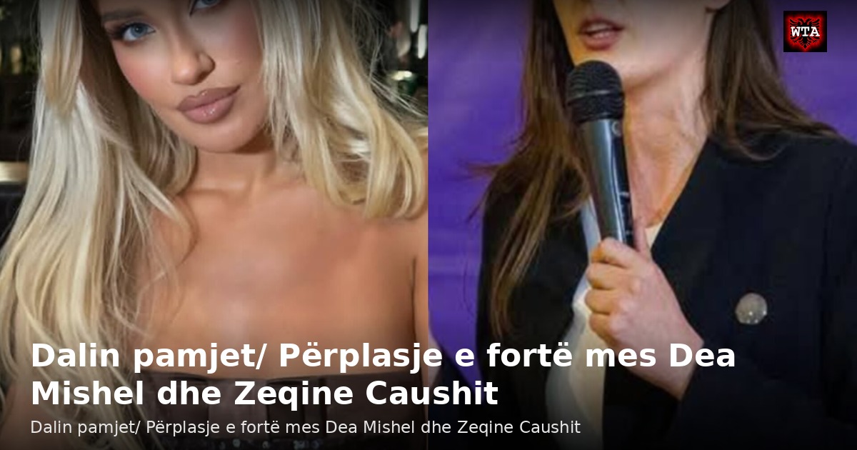 Dalin pamjet/ Përplasje e fortë mes Dea Mishel dhe Zeqine Caushit