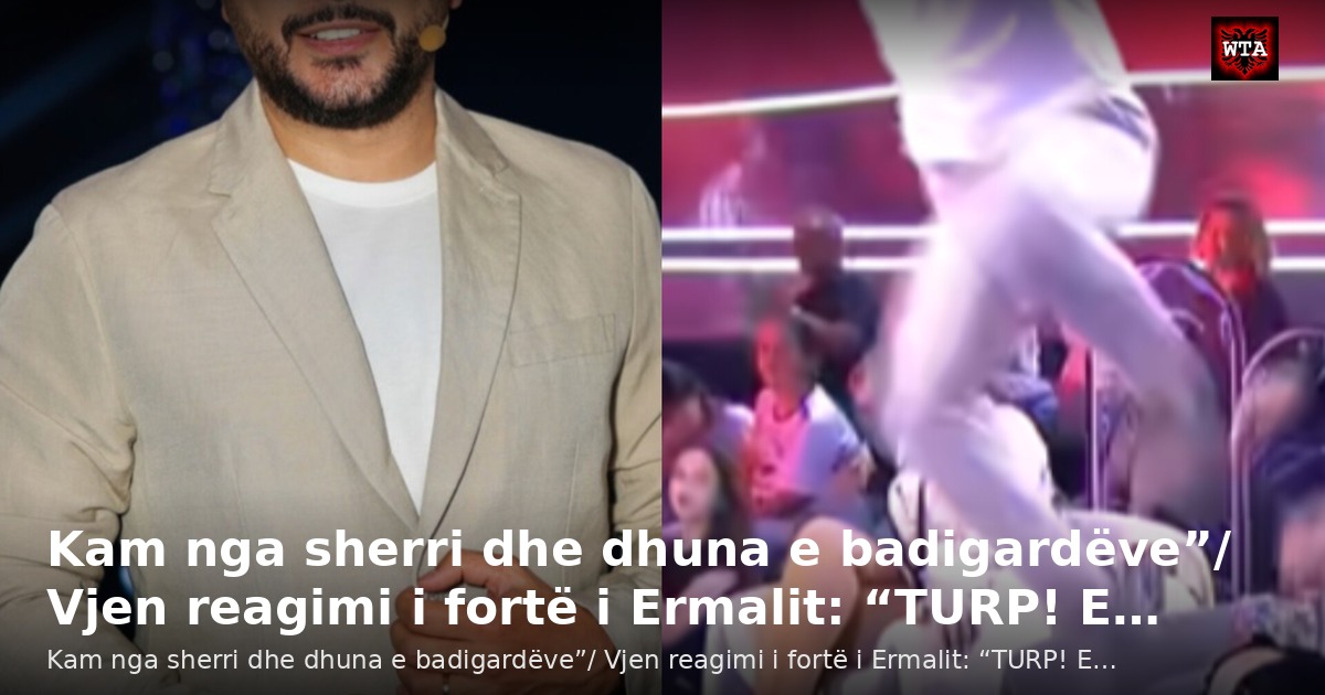 Kam nga sherri dhe dhuna e badigardëve”/ Vjen reagimi i fortë i Ermalit: “TURP! E…