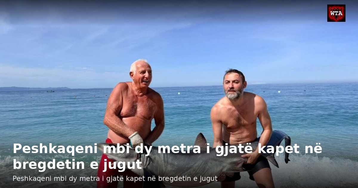 Peshkaqeni mbi dy metra i gjatë kapet në bregdetin e jugut