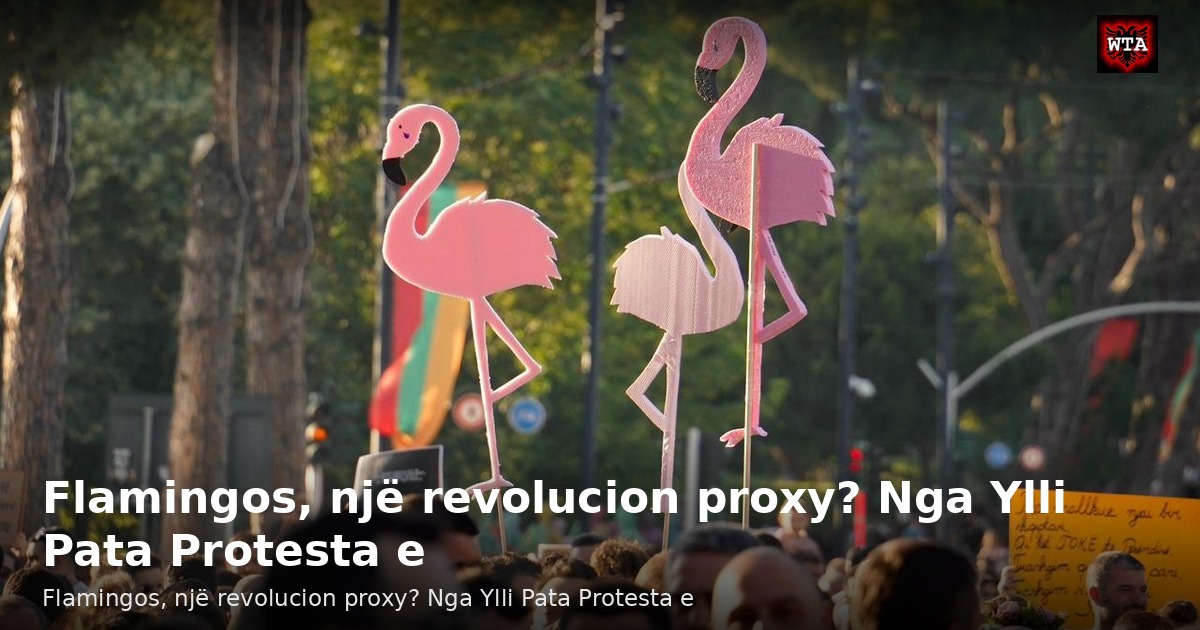 Flamingos, një revolucion proxy? Nga Ylli Pata Protesta e