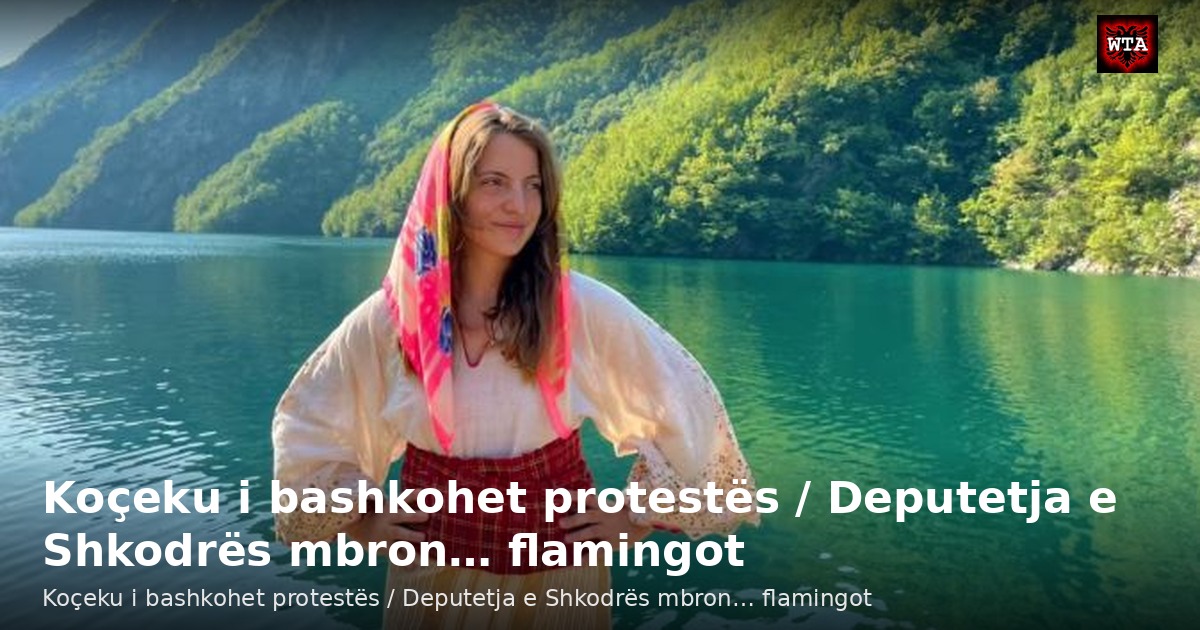 Koçeku i bashkohet protestës / Deputetja e Shkodrës mbron… flamingot