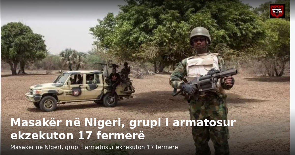 Masakër në Nigeri, grupi i armatosur ekzekuton 17 fermerë