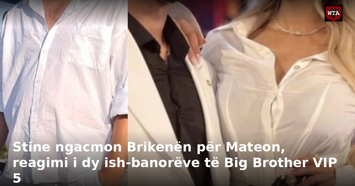 Stine ngacmon Brikenën për Mateon, reagimi i dy ish-banorëve të Big Brother VIP 5