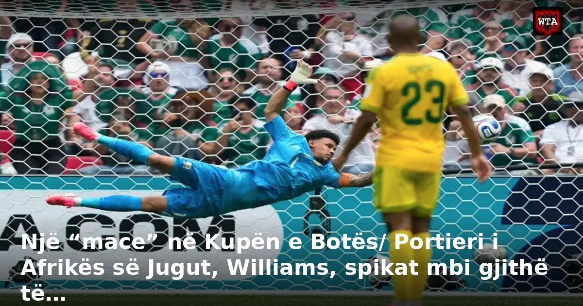 Një “mace” në Kupën e Botës/ Portieri i Afrikës së Jugut, Williams, spikat mbi gjithë të…