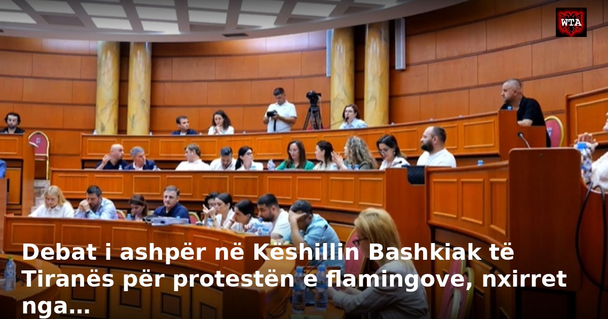 Debat i ashpër në Këshillin Bashkiak të Tiranës për protestën e flamingove, nxirret nga…
