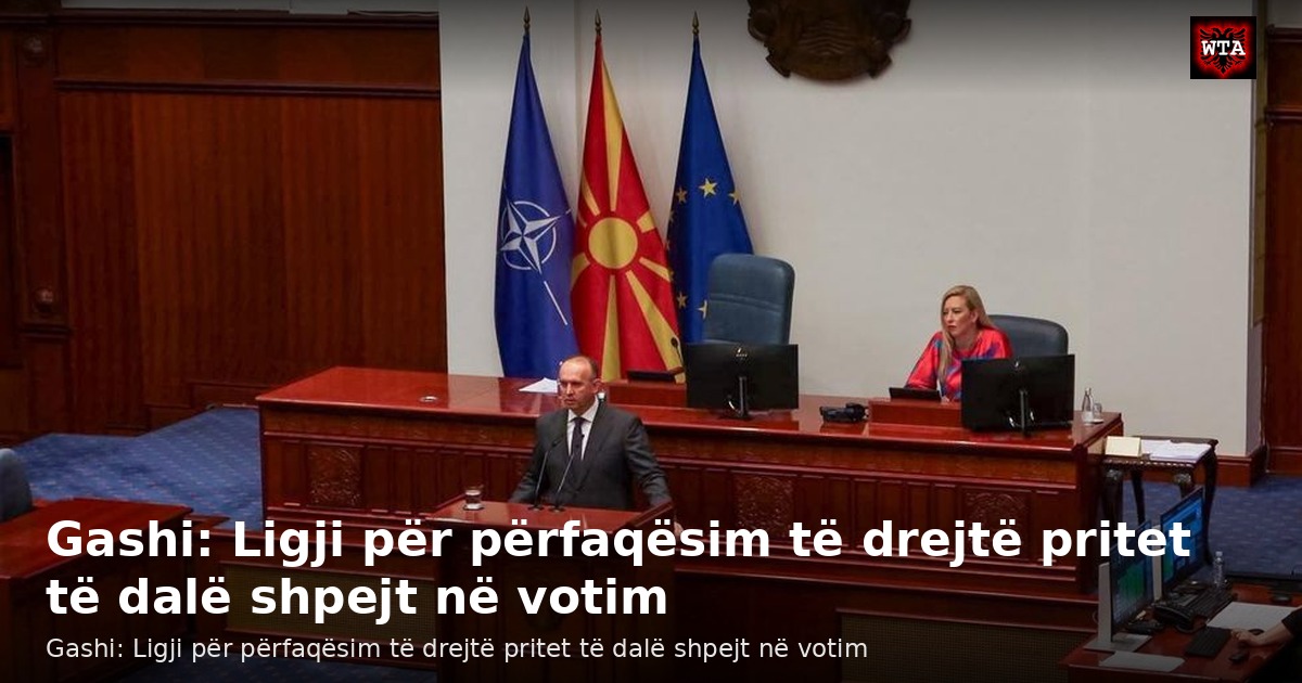 Gashi: Ligji për përfaqësim të drejtë pritet të dalë shpejt në votim
