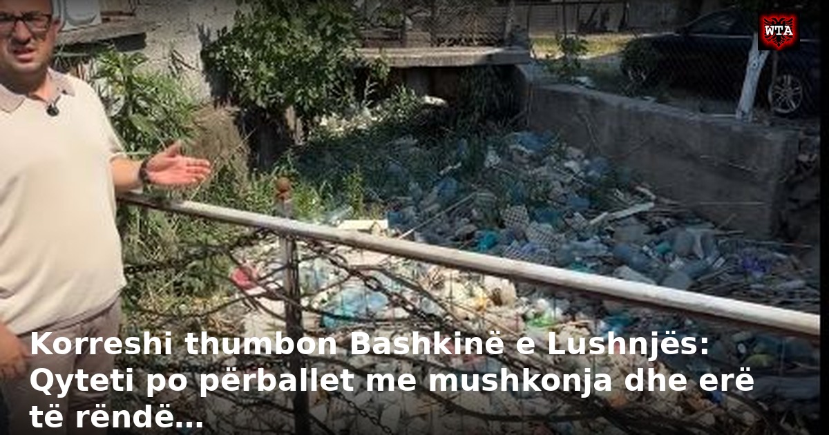 Korreshi thumbon Bashkinë e Lushnjës: Qyteti po përballet me mushkonja dhe erë të rëndë…