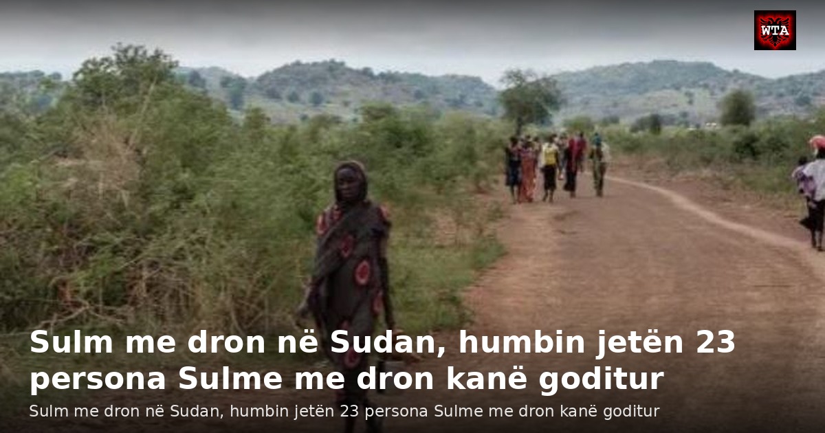 Sulm me dron në Sudan, humbin jetën 23 persona Sulme me dron kanë goditur