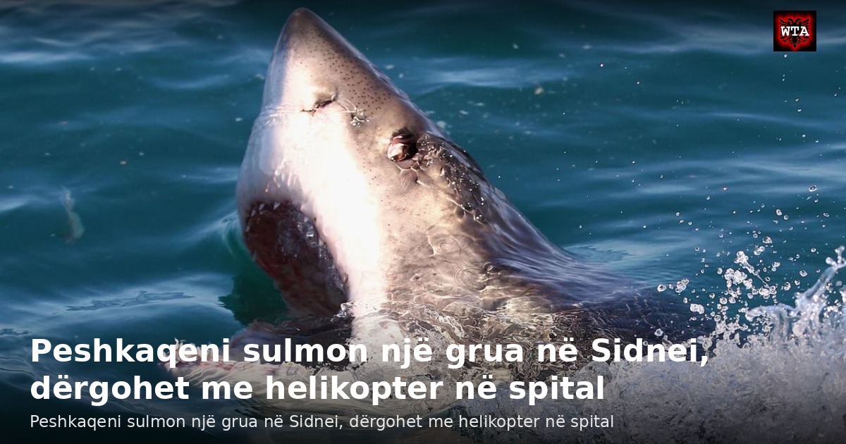 Peshkaqeni sulmon një grua në Sidnei, dërgohet me helikopter në spital