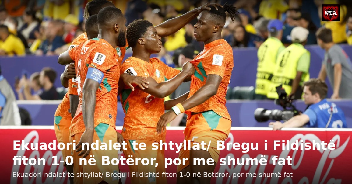 Ekuadori ndalet te shtyllat/ Bregu i Fildishtë fiton 1-0 në Botëror, por me shumë fat