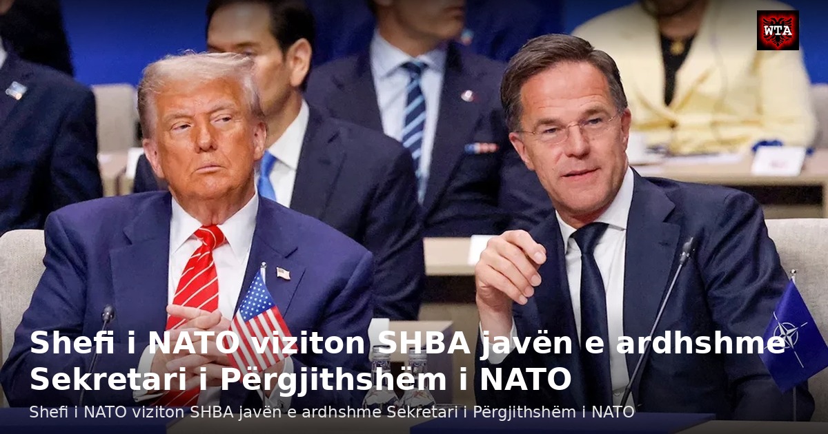 Shefi i NATO viziton SHBA javën e ardhshme Sekretari i Përgjithshëm i NATO