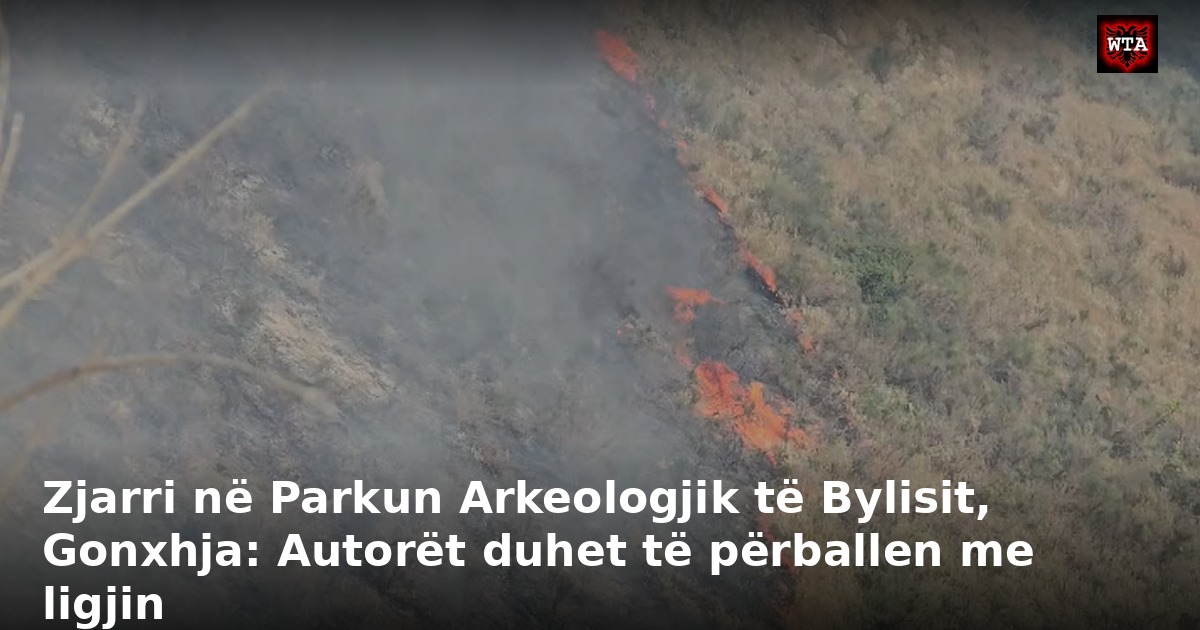 Zjarri në Parkun Arkeologjik të Bylisit, Gonxhja: Autorët duhet të përballen me ligjin