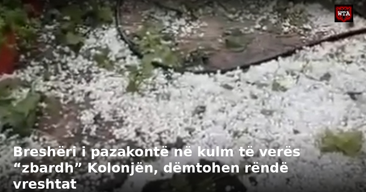 Breshëri i pazakontë në kulm të verës “zbardh” Kolonjën, dëmtohen rëndë vreshtat