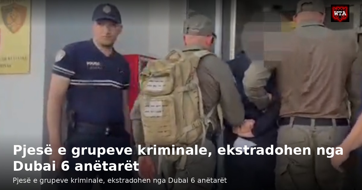 Pjesë e grupeve kriminale, ekstradohen nga Dubai 6 anëtarët
