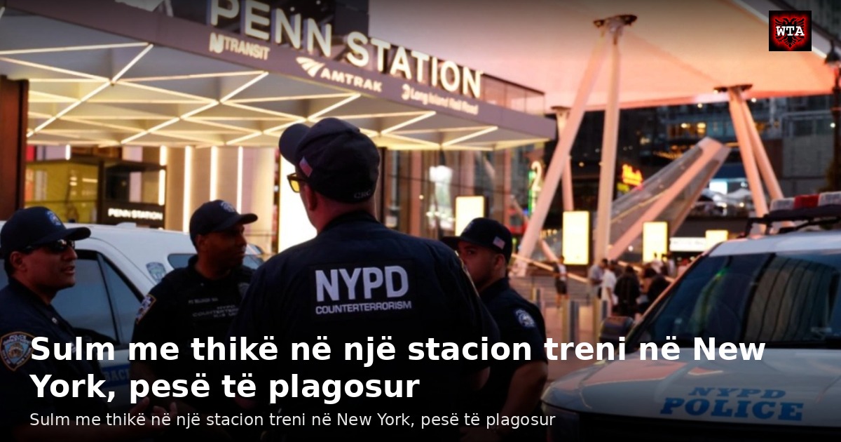 Sulm me thikë në një stacion treni në New York, pesë të plagosur