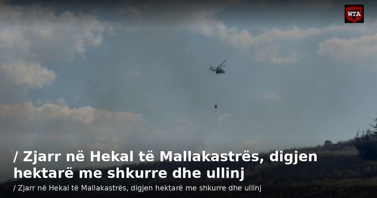 / Zjarr në Hekal të Mallakastrës, digjen hektarë me shkurre dhe ullinj