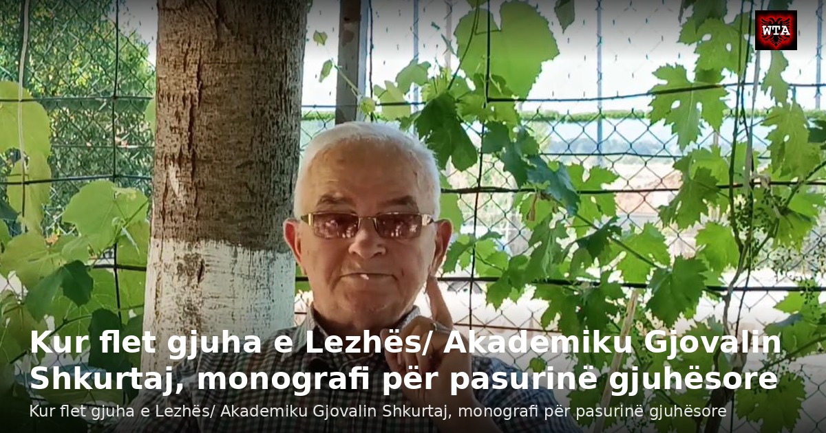 Kur flet gjuha e Lezhës/ Akademiku Gjovalin Shkurtaj, monografi për pasurinë gjuhësore