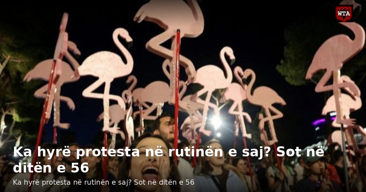 Ka hyrë protesta në rutinën e saj? Sot në ditën e 56