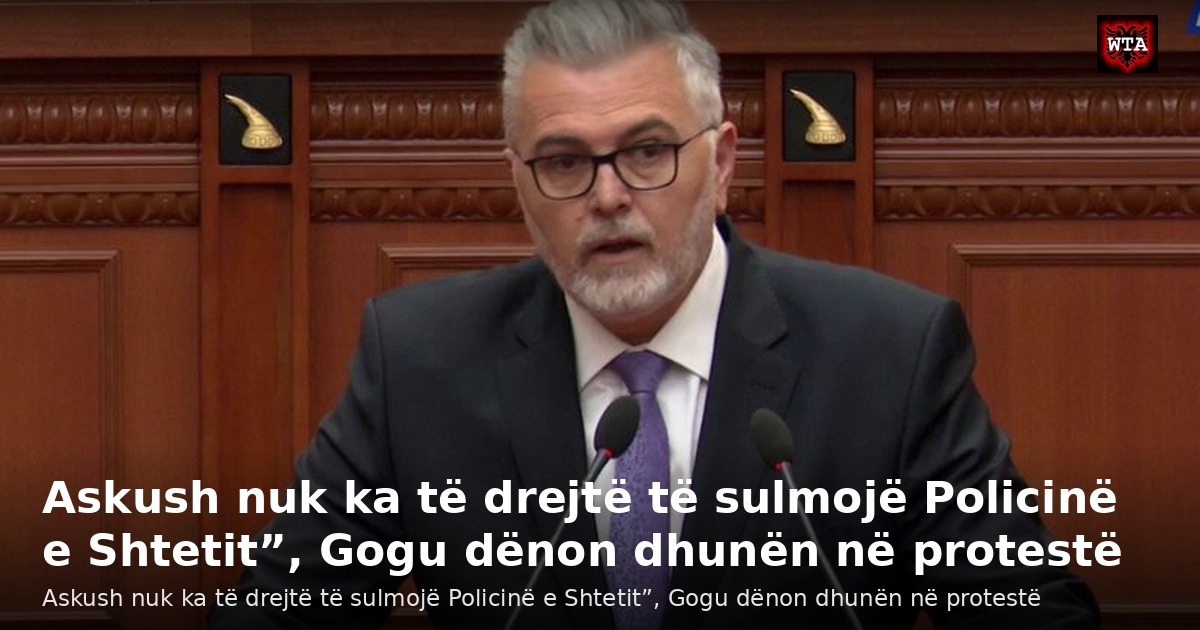 Askush nuk ka të drejtë të sulmojë Policinë e Shtetit”, Gogu dënon dhunën në protestë