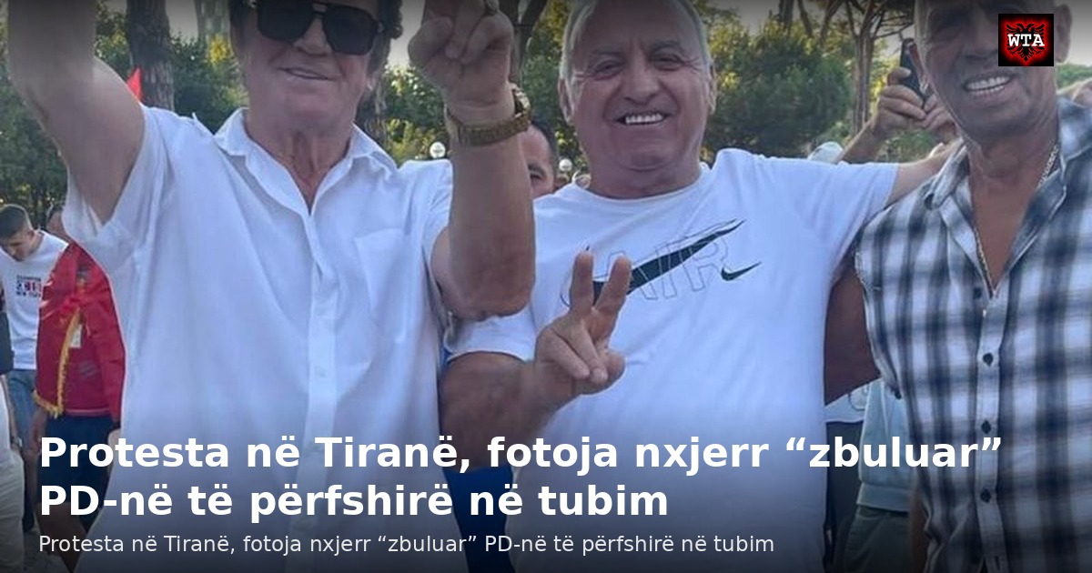 Protesta në Tiranë, fotoja nxjerr “zbuluar” PD-në të përfshirë në tubim