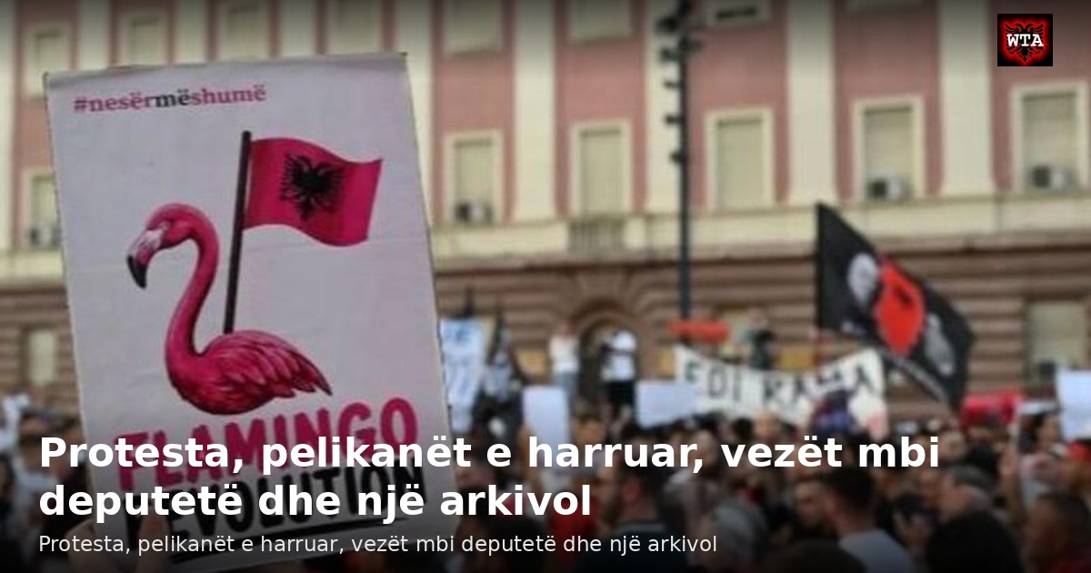 Protesta, pelikanët e harruar, vezët mbi deputetë dhe një arkivol