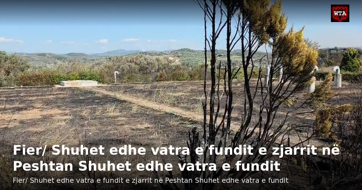 Fier/ Shuhet edhe vatra e fundit e zjarrit në Peshtan Shuhet edhe vatra e fundit