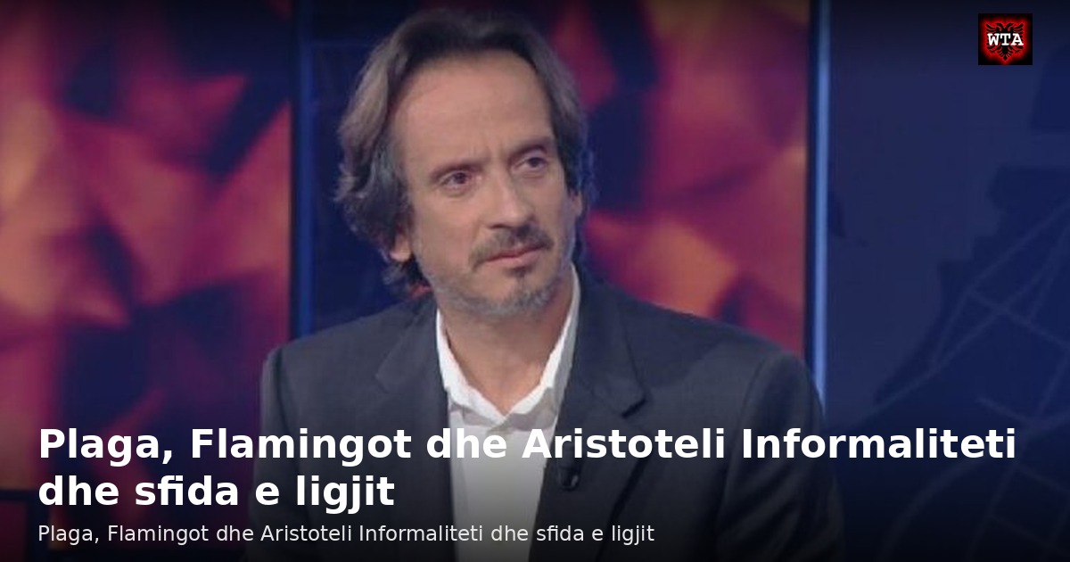 Plaga, Flamingot dhe Aristoteli Informaliteti dhe sfida e ligjit