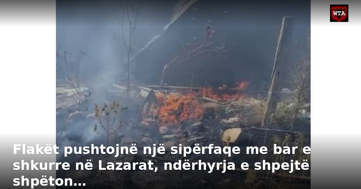 Flakët pushtojnë një sipërfaqe me bar e shkurre në Lazarat, ndërhyrja e shpejtë shpëton…