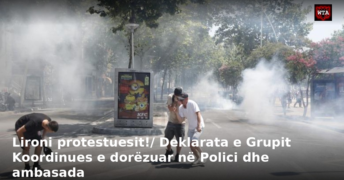 Lironi protestuesit!/ Deklarata e Grupit Koordinues e dorëzuar në Polici dhe ambasada